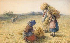 Spigolatrici da Hugh Cameron