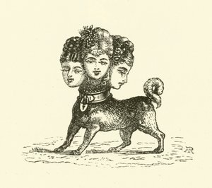 Cerbero Femminile