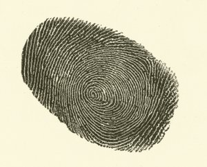 Impronta digitale da Hugh Rowley