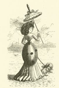 Coccinella da Hugh Rowley