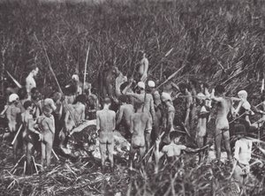 Africa: Cacciatori Nuer con il corpo di un elefante da Hugo Adolf Bernatzik