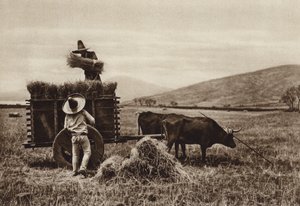 Messico: contadini che raccolgono il grano (foto b/n) da Hugo Brehme