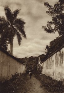 Messico: Cuernavaca, strada che conduce al villaggio di San Antonio (foto b/n) da Hugo Brehme