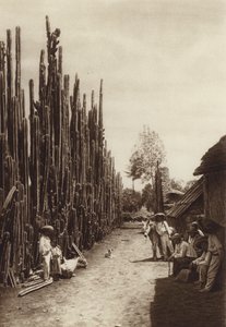 Messico: Santiago, caratteristica strada del villaggio con cactacee a forma di colonna (foto b/n) da Hugo Brehme