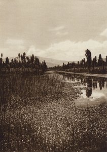 Messico: Xochimilco, uno dei canali principali (foto b/n)