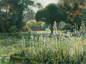 Giacinti estivi (Galtonia) da Hugo Charlemont
