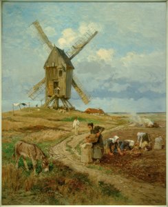 H. Mühlig, Raccolta di patate