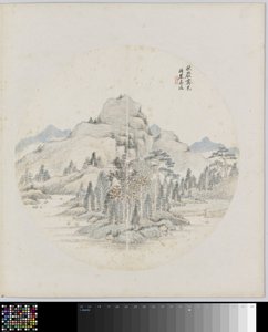 Pagina di album