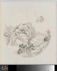 Pagina di album