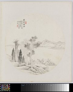 Pagina di album