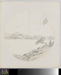 Pagina di album