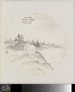 Pagina di album