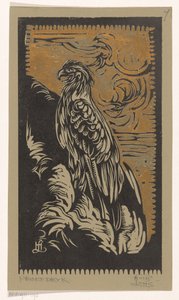 Aquila