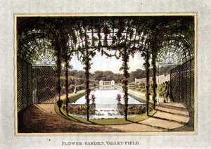 Giardino dei fiori, Valley-Field, da 