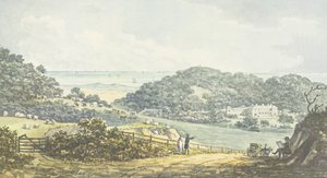 Vista panoramica 