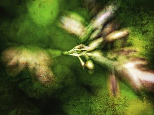 Texture verdi astratte da Ida Publishing