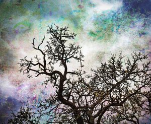Alberi celesti astratti
