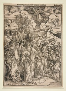 Copia dopo Durer da Ieronimus von Frankfurt Greff