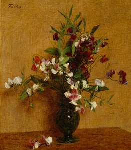 Piselli dolci; Pois de Senteur, 1888