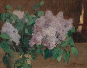 Lilla