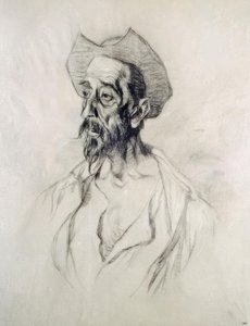 Don Chisciotte
