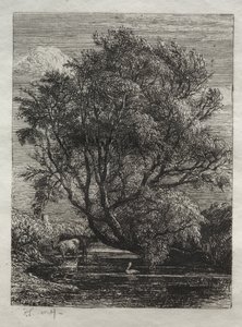 Il salice da Ignaz Gunther