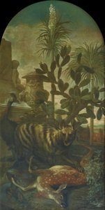 Iena, antilope e casuario in un paesaggio di cactus da Ignaz Heinitz von Heinzenthal