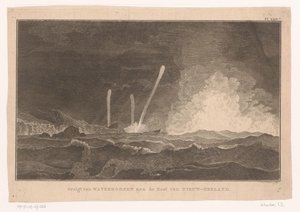 Vista di trombe marine sulla costa della Nuova Zelanda da Ignaz Sebastian Klauber