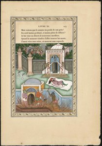 Il sogno del Mogol, 1837-1839 da Imam Bakhsh Lahori