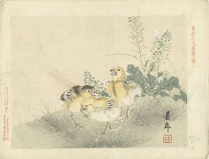 Tre pulcini (Bozzetti di fiori e uccelli di Keinen) da Imao Keinen