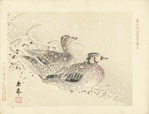 Coppia di anatre nella neve (serie: Schizzi di fiori e uccelli di Keinen)