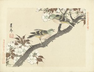 Due uccelli verdi su un ramo fiorito (schizzi di fiori e uccelli di Keinen, Keinen kacho gafu) da Imao Keinen