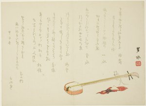 Shamisen e ratto