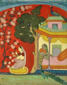 Una Signora che Coglie Fiori, Rajasthan Meridionale o Deccan, c.1675 da Indian School