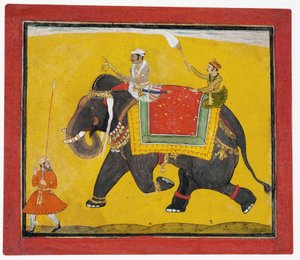 Un raja a cavallo di un elefante