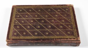 Album di genealogia dinastica Mughal