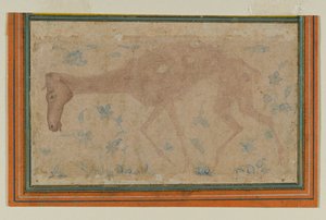 Un cavallo emaciato, da Mughal o Deccan, metà XVII secolo