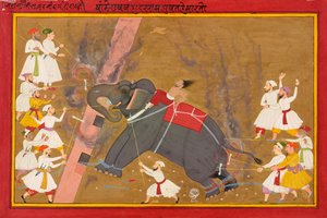 Un elefante impazzisce