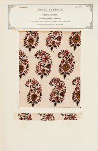 Campione di stampa in cotone grezzo da Masulipatam in Madras, da The Collection of the Textile Manufacturers of India, di John Forbes Watson, pubblicato nel 1866