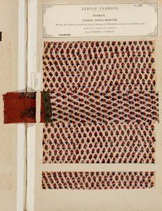 Campione di turbante in cotone grezzo da Sydapet in Madras, da The Collection of the Textile Manufacturers of India, di John Forbes Watson, pubblicato nel 1866 da Indian School