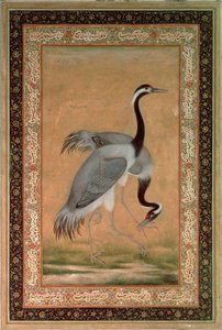 Gru di Mansur, periodo Jahangir, Mughal da Indian School