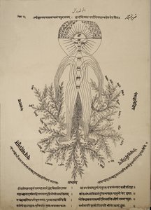 Diagramma che mostra i punti meridiani sul corpo umano da Indian School