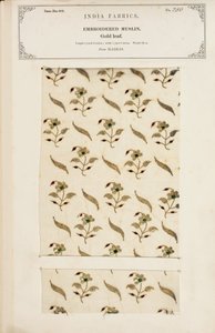 Campione di mussola ricamata da Madras, da The Collection of the Textile Manufacturers of India, di John Forbes Watson, pubblicato nel 1866 da Indian School