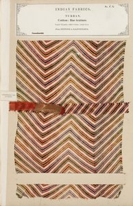 Campione di turbante in cotone fine da Jeypoor in Rajpootana, da The Collection of the Textile Manufacturers of India, di John Forbes Watson, pubblicato nel 1866