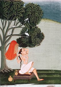 Signora indiana alla toilette che si pettina da Indian School
