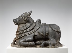 Nandi da Indian School
