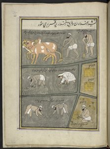 Aratura; scavo; trapianto del riso; raccolta, 86 disegni rilegati in un volume che raffigura mestieri e occupazioni in Kashmir, artigiani al lavoro con i loro strumenti e attrezzature, da un artista del Kashmir, probabilmente a Srinagar, c.1850-60 da Indian School
