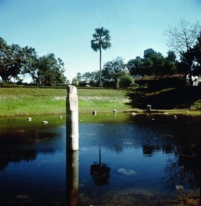 Rovine del Palazzo di Pataliputra da Indian School