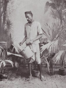 Bombay / Mumbai: giardiniere (foto b/n) da Indian photographer
