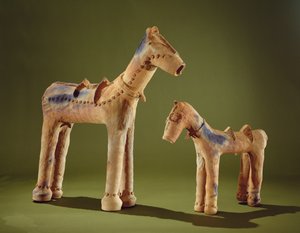 Cavalli modello